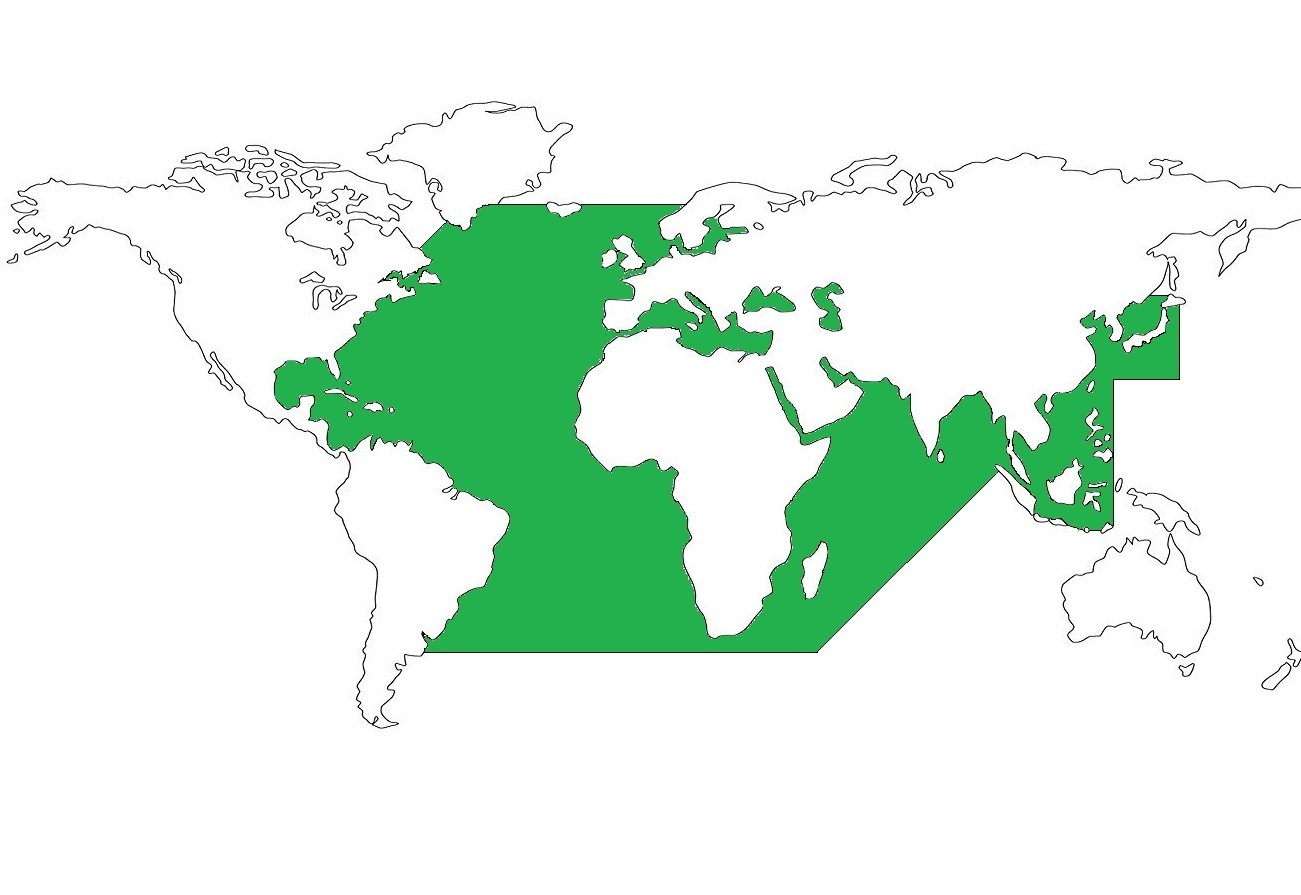WORLD MAP simple B&W 2 + Suez 3
